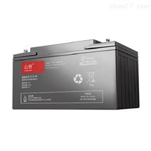 山特12V65AH 铅酸蓄电池机房数据中心设备蓄电池电瓶